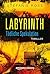 Labyrinth: Tödliche Spekulation (German Edition)