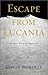 Escape from Lucania by David  Roberts