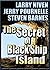 The Secret of Black Ship Is...