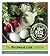 The Birchwood Cafe Cookbook by Tracy Singleton