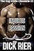Incubus Passion (The Gay Genie Chronicle 11)