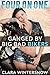 Ganged by Big Bad Bikers (F...
