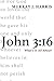 John 3:16: What’s It All Ab...