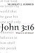 John 3 by Murray J. Harris