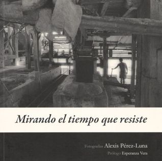 Mirando el tiempo que resiste (Paperback)