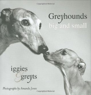 Greyhounds Big and Small: Iggies and Greyts (Hardcover)