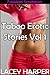 Taboo Erotic Stories, Vol 1