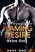 Flaming Desire - Part 1 (An Alpha Billionaire Romance)