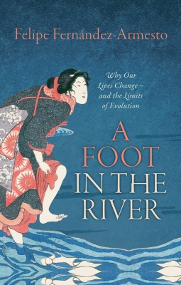 A Foot in the River (Hardcover)