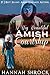 A Big Beautiful Amish Courtship