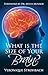 What Is the Size of Your Brain?: Foreword by Dr. Myles Munroe