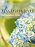 Hydrangeas : The Complete Guide