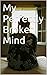 My Perfectly Broken Mind