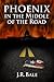 Phoenix in the Middle of the Road