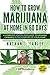 How to Grow Marijuana at Home in 60 Days: A Complete Step By Step Guide to Growing Cannabis in The Comfort of Your Home