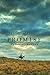 The Promise