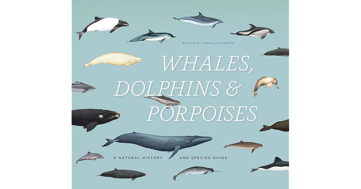 Whales Dolphins And Porpoises A Natural History And