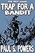 Trap For A Bandit