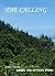 The Calling by Daniel Stern