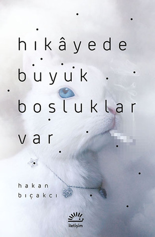 Hikâyede Büyük Boşluklar Var (Paperback)