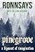 Pinegrove: A Figment of Imagination: (Suspense Mystery New Adult Contemporary Teen Romance)