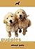 Puppies by About Pets