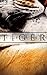 Tiger: 1924, Hollywood (Tiger flash fiction Book 3)