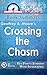Summary: Crossing the Chasm...