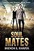 Soul Mates (Angels and Demo...