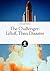 The Challenger: Liftoff, Then Disaster