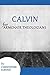 Calvin for Armchair Theologians by Christopher Elwood