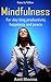 Mindfullness for Day Long Productivity, Happiness, and Peace