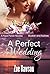 A Perfect Wedding (Hope Parish #3.4)