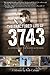 The Fractured Life of 3743: A Journey to Redemption