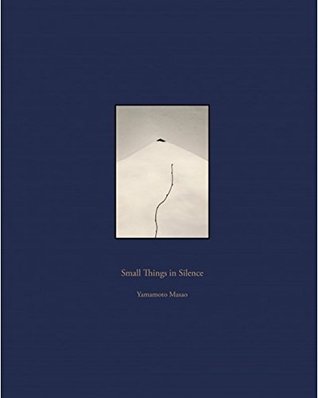 Small Things in Silence (Hardcover)