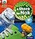 A Shock for Nok