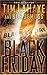 Black Friday by Tim LaHaye