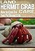 Land Hermit Crab Care by C. R.