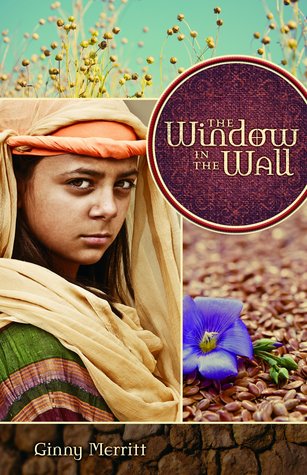 Window in the Wall, The (Paperback)