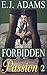 Forbidden Passion 2