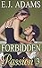 Forbidden Passion 3