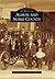 Albion and Noble County (Images of America: Indiana)