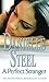 A Perfect Stranger by Danielle Steel