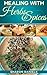 Healing With Herbs And Spices by Sharon Daniels