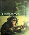 Chimpanzees by Tamsin Constable