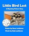 Little Bird Lost:...