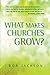 What Makes Churches Grow?: Vision and practice in effective mission (Explorations)