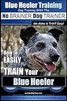 Blue Heeler Train...