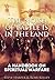 The Noise of Battle is in the Land: A Handbook on Spiritual Warfare