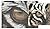 TIGER'S EYE TO EYE small Cr...